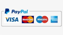 PayPal Payments and Credit Cards